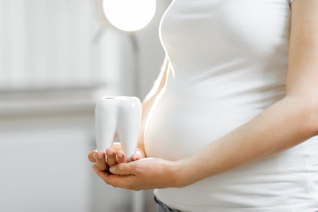 Pregnant woman holding tooth model near her belly, close-up view.